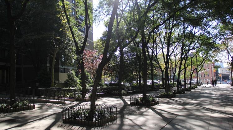 A tower can be seen in the left background, while a tree lined and covered paved walkway crosses in front and across to the right.