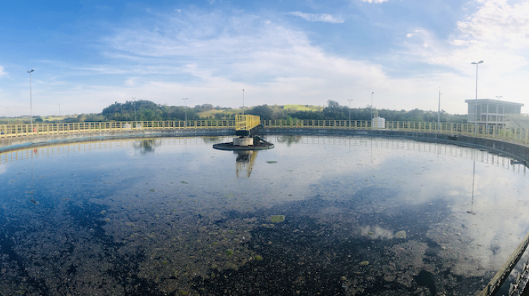 Image of a water storage container, the top of the water is covered an algae and one can view the entire surface because of a fish eye lens